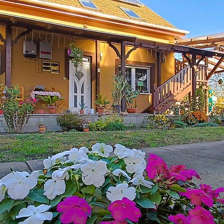 Hotel Holt-Tisza Vendeghaz à Szeged Extérieur photo