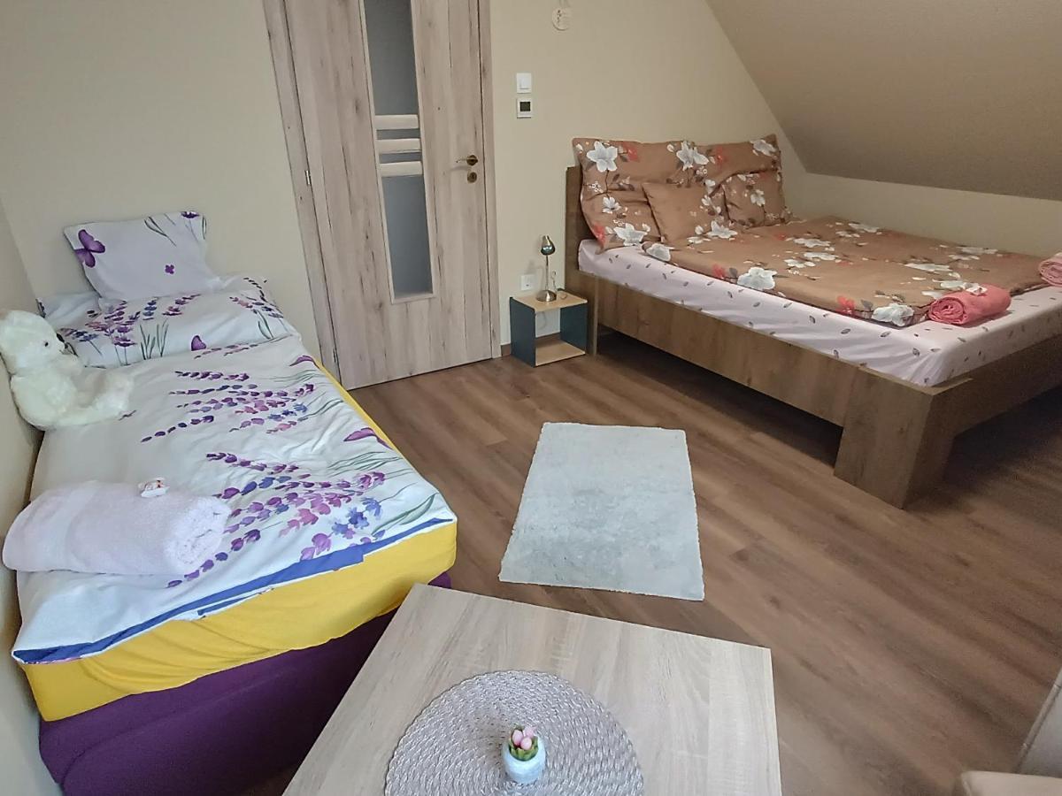 Hotel Holt-Tisza Vendeghaz à Szeged Extérieur photo