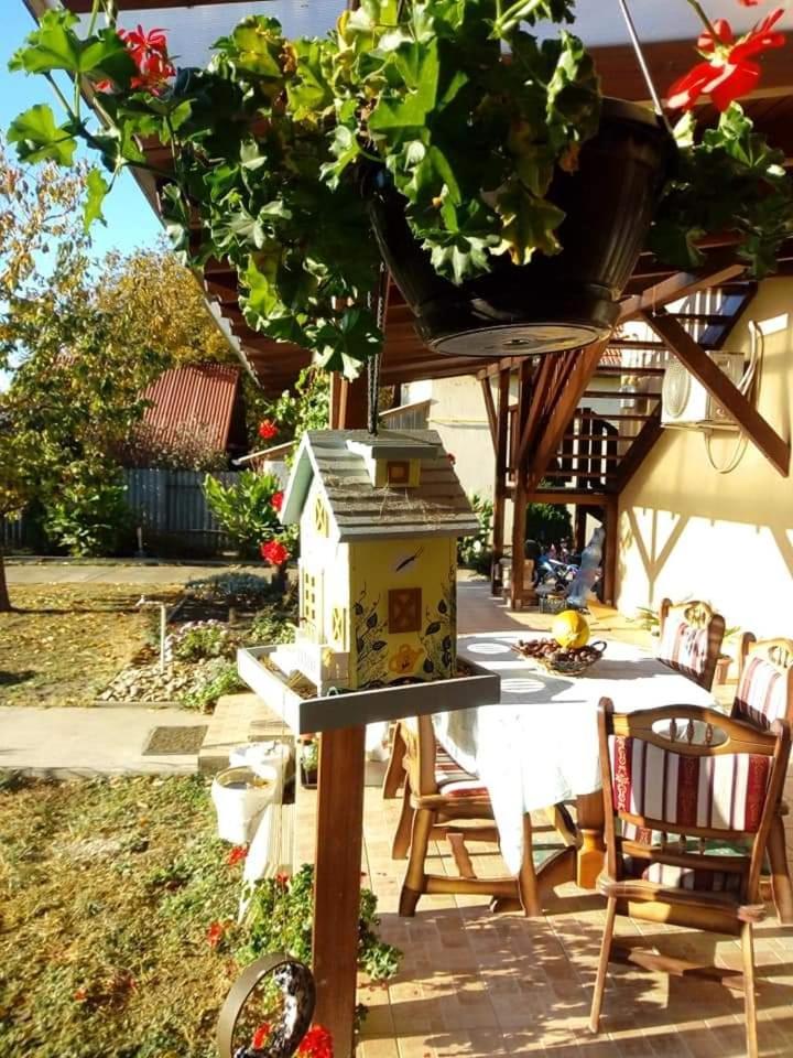 Hotel Holt-Tisza Vendeghaz à Szeged Extérieur photo