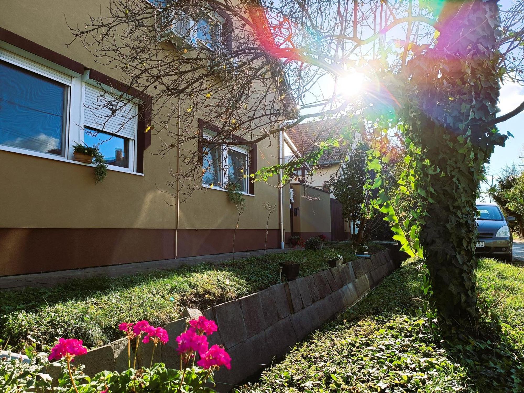 Hotel Holt-Tisza Vendeghaz à Szeged Extérieur photo