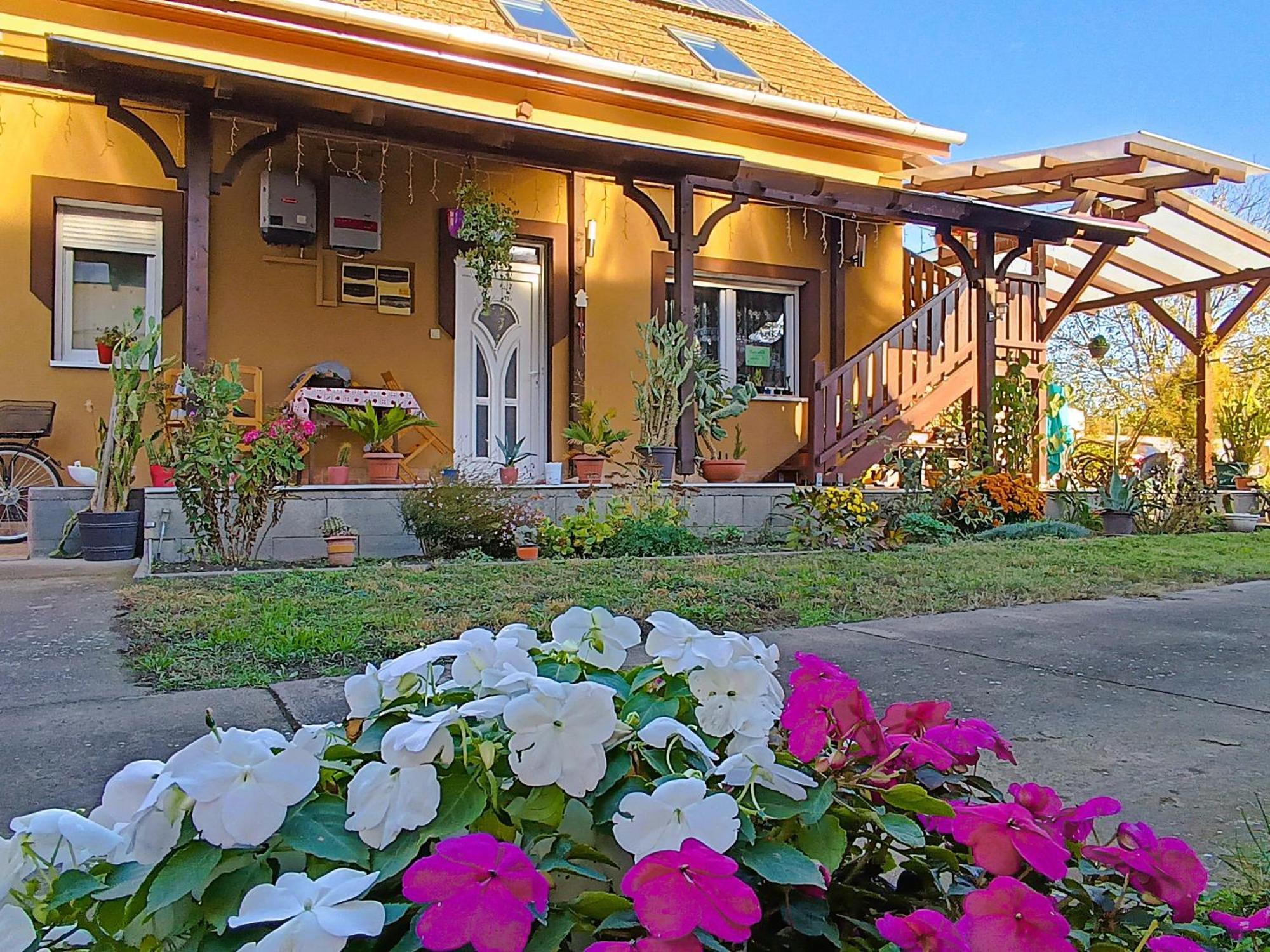 Hotel Holt-Tisza Vendeghaz à Szeged Extérieur photo
