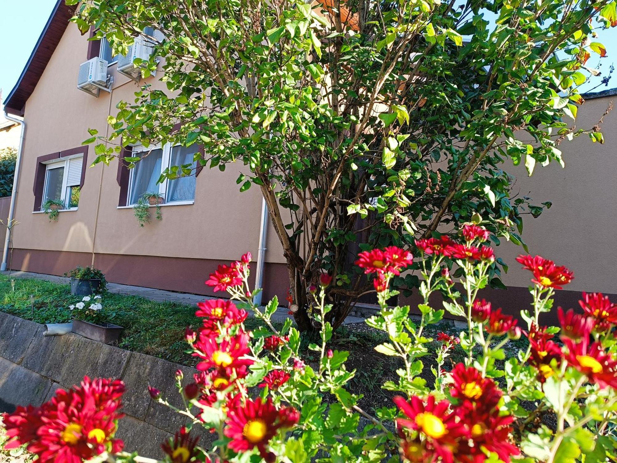 Hotel Holt-Tisza Vendeghaz à Szeged Extérieur photo